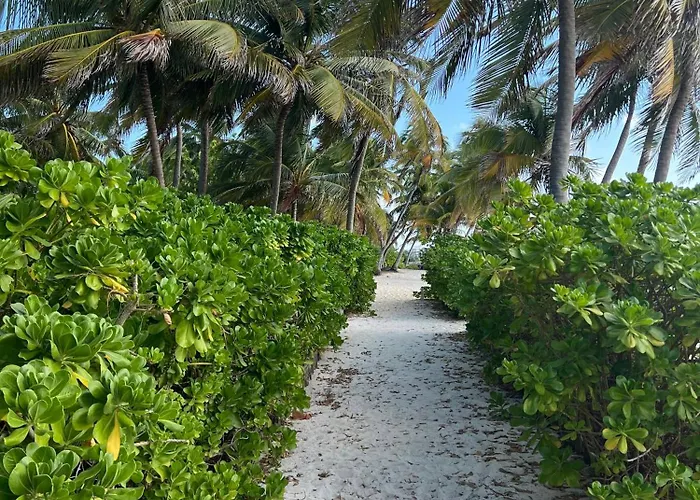 Residences At Barrier Reef 16a Garden View 1 Bedroom By Floreo San Pedro (Ambergris Caye)